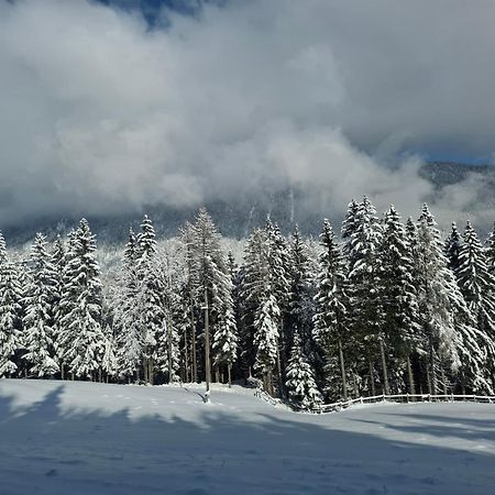 Casableiberg - Garten Apartment - Naturpark Dobratsch Бад Блайберг Екстериор снимка