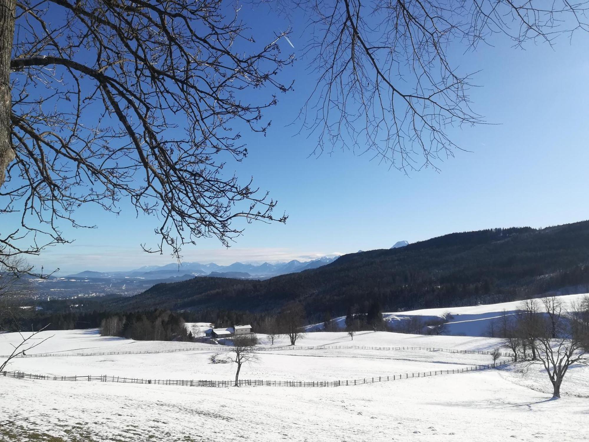 Casableiberg - Garten Apartment - Naturpark Dobratsch Бад Блайберг Екстериор снимка